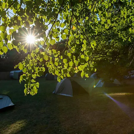 The Tent - Youth Only - Buchung Leider Nur Bis 30 Jahre Moeglich! *